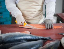 hygiënische vloeren wanden en plafonds voor vishandels